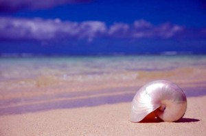 Issue36_Page_34_Image_0001